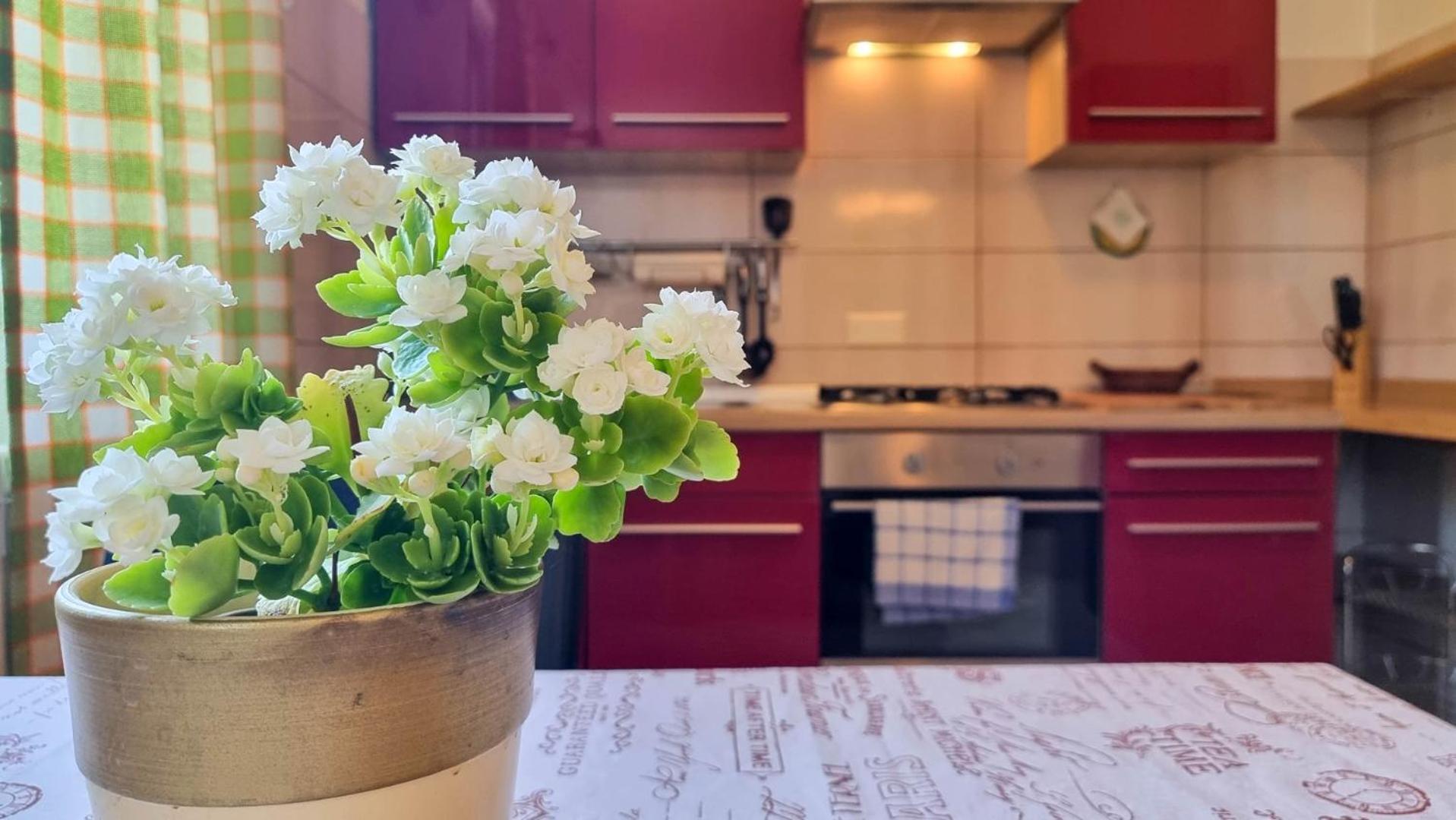Mirjana Four Apartment Новиград Екстериор снимка